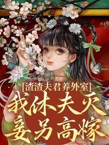 小说渣渣夫君养外室，我休夫灭妾另高嫁主角叶宛卿萧时衍免费阅读