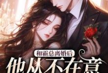 和霸总离婚后，他从不在意变求复婚精彩章节阅读(许烟秦冽)免费阅读大结局-阳光书屋