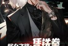 主角是步青云王东林的小说权力之路：凭铁拳，我令黑势力退避在哪免费看-阳光书屋