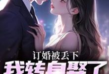 订婚被丢下,我转身娶了娇娇千金(江辰苏密)最新章节在线阅读-阳光书屋