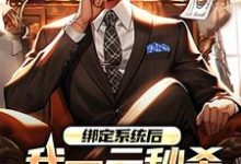 求助这本绑定系统后，我一元秒杀一辆奔驰小说在哪里可以看完结版-阳光书屋