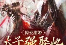 掠爱甜婚：太子强娶她入东宫无弹窗贺玥宁如颂最新章节列表-阳光书屋