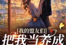 我的盟友们云苓迟盛小说(云苓迟盛)最新章节免费阅读-阳光书屋