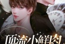 完结版顶流小鲜肉每天只想官宣在哪免费看，梦泽小说在线阅读-阳光书屋
