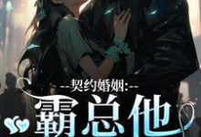 契约婚姻：霸总他超会宠无弹窗苏锐秦众最新章节列表-阳光书屋