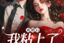 完结版离婚后，我粘上了那位大佬在哪免费看，舒愿陆骁小说在线阅读-阳光书屋