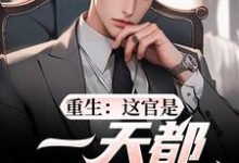 求助这本重生：这官是一天都不想当了小说在哪里可以看完结版-阳光书屋