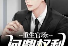 重生官场：问鼎权利之巅（主角林峰刘艳茹）完结版免费阅读-阳光书屋
