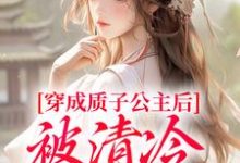 完结版穿成质子公主后，被清冷太子宠了！在哪免费看，阮今禾殷珩小说在线阅读-阳光书屋