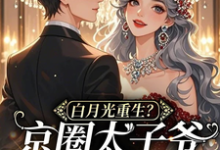 求助这本白月光重生?京圈太子爷被撩红温小说在哪里可以看完结版-阳光书屋