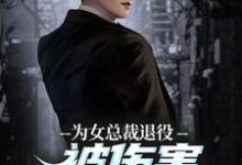 为女总裁退役被伤害，我重拾军装！免费阅读，陆战苏瑾大结局无弹窗-阳光书屋