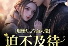 黎九霍骁最新章节列表退婚后，冷面大佬迫不及待要娶我免费阅读-阳光书屋