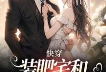 快穿：装肥宅和男主网恋后无弹窗泠宝桑泠最新章节列表-阳光书屋