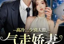 小说高冷三少别太傲，气走娇妻你完了！（江晚宁庄凌洲）最新章节在哪看-阳光书屋