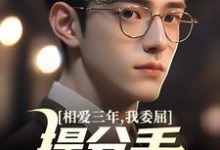 相爱三年，我委屈提分手他红了眼（主角苏清荷沈砚）完结版免费阅读-阳光书屋