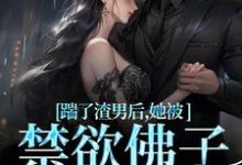 温霜序陆晏回小说免费阅读最新章节列表，踹了渣男后，她被禁欲佛子宠上天小说在线看-阳光书屋