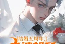 完结版结婚五周年，老婆却和白月光狂欢在哪免费看，苏尘顾轻雪小说在线阅读-阳光书屋