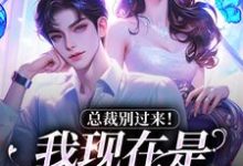 总裁别过来！我现在是事业上升期完结版陆绾绾沈俞瑾免费阅读大结局-阳光书屋