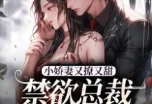主角是江熹季向聿的小说小娇妻又撩又甜，禁欲总裁宠上瘾在哪免费看-阳光书屋