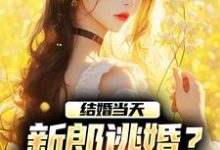 结婚当天,新郎逃婚?我当场改嫁!小说最新章节在哪里可以免费看-阳光书屋