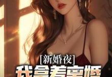 小说新婚夜，我拿着离婚协议黯然离场（叶修远白若雪）最新章节在哪看-阳光书屋