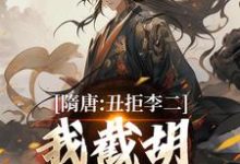 李渊吴缺小说的结局在哪可以看，隋唐：丑拒李二，我截胡众枭雄免费阅读完结版-阳光书屋