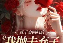 真千金回归后,我抛夫弃子独自美丽精彩章节在线免费阅读(苏黎陆敬煊)-阳光书屋