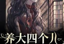 黄晚晴宋长武在线阅读，养大四个儿，八个孙，凄惨离世后小说完结版章节-阳光书屋