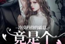 冷漠矜持的霸总,竟是个纯爱战士免费阅读,宋诗予段斯昀大结局无弹窗-阳光书屋