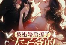 被退婚后撩了太子爷的检察官小叔完结版陆砚昇乔曦免费阅读大结局-阳光书屋