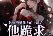 苏锦萧云锋小说的结局在哪可以看,钓到渣男前夫的上司后,他跪求放过免费阅读完结版-阳光书屋