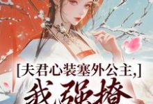 夫君心装塞外公主,我强撩也能到手(叶锦意萧凛渊)最新章节免费在线阅读-阳光书屋