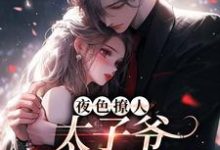 楚璃徐砚周小说的结局在哪可以看，夜色撩人，太子爷为她乱了心免费阅读完结版-阳光书屋