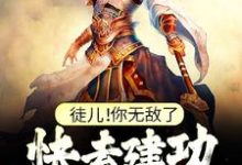 主人公是叶风的小说徒儿！你无敌了，快去建功立业吧！免费阅读-阳光书屋