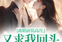 离婚前装高冷，又求我回头做什么精彩章节阅读(苏念封承烬)免费阅读大结局-阳光书屋