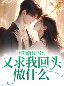 离婚前装高冷，又求我回头做什么精彩章节阅读(苏念封承烬)免费阅读大结局