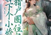 小说天上掉下个小娇娇,猎户圈住宠(沈青山)最新章节在哪看-阳光书屋