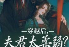 主人公是沈微萧御衡的小说穿越后，夫君太柔弱？我来夺江山免费阅读-阳光书屋