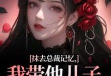 抹去总裁记忆，我带他儿子回苗寨热门小说(裴景澈梨尤笙)在线阅读无弹窗-阳光书屋