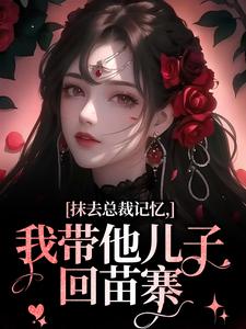 抹去总裁记忆，我带他儿子回苗寨小说最新章节在哪里可以免费看