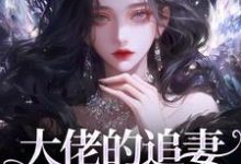大佬的追妻火葬场：晚了，姐不稀罕（主角姜沁笙纪怀舟）完结版免费阅读-阳光书屋