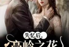 失忆后,高岭之花他又撩又哄大结局,黎漾裴政臣小说无广告阅读-阳光书屋