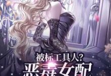 (全文)被标工具人？恶毒女配甩男主求自由宋以宁陆明聿最新完结小说被标工具人？恶毒女配甩男主求自由免费阅读-阳光书屋