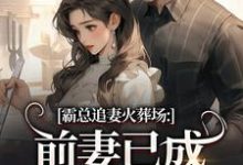 (全文)霸总追妻火葬场：前妻已成人间富贵花完结小说推荐秦桑傅霆深全本书籍阅读-阳光书屋