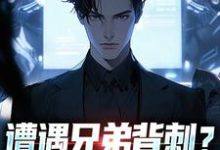 秦东骆小蝶遭遇兄弟背刺？我直接去偷家全本免费在线阅读-阳光书屋