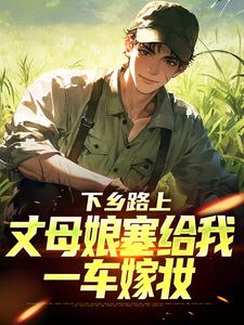 (全文)下乡路上，丈母娘塞给我一车嫁妆林辰宋雨小说推荐，下乡路上，丈母娘塞给我一车嫁妆全章小说阅读