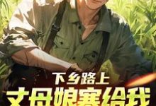 (全文)下乡路上,丈母娘塞给我一车嫁妆(林辰宋雨)免费小说下乡路上,丈母娘塞给我一车嫁妆试读更新章节-阳光书屋