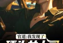 (全文)官道：我发现了顶头女上司的秘密徐青胡丽娜全本免费在线阅读-阳光书屋