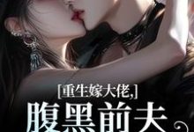 重生嫁大佬，腹黑前夫追妻火葬场最新章节阅读重生嫁大佬，腹黑前夫追妻火葬场(林疏桐贺霆屿)试读更新章节-阳光书屋