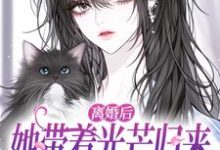 (全文)离婚后她带着光芒归来，总裁悔断肠(江念慕南辞)全本免费在线阅读-阳光书屋